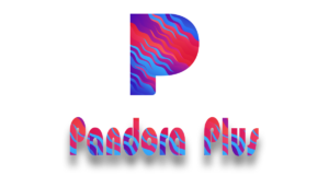 Blog | Details of Pandora 22 Pandora premium vs Pandora Plus, Pandora Plus, how much is Pandora plus, What is Pandora Plus,